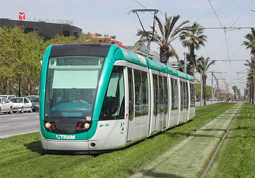 tramtema3%202.jpg